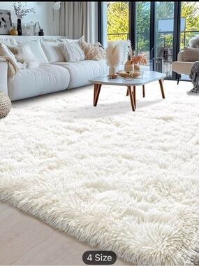 Luxurious Fluffy Shag Rug Ultra Soft,Plush Durable for Modern Home 6x9ft